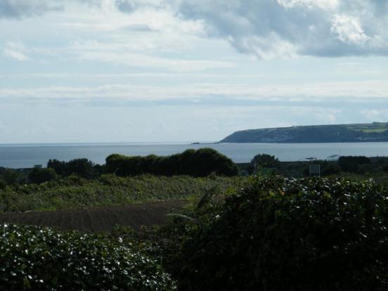 Outlook