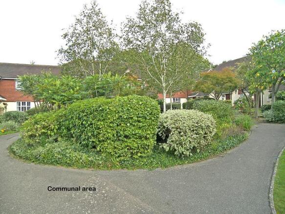 communal gardens 2