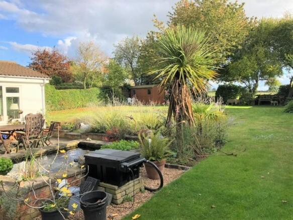 Garden 6