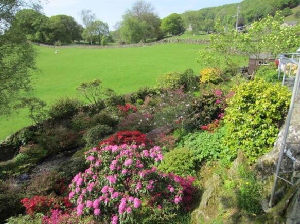 Garden in spring