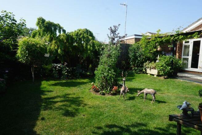 Rear garden