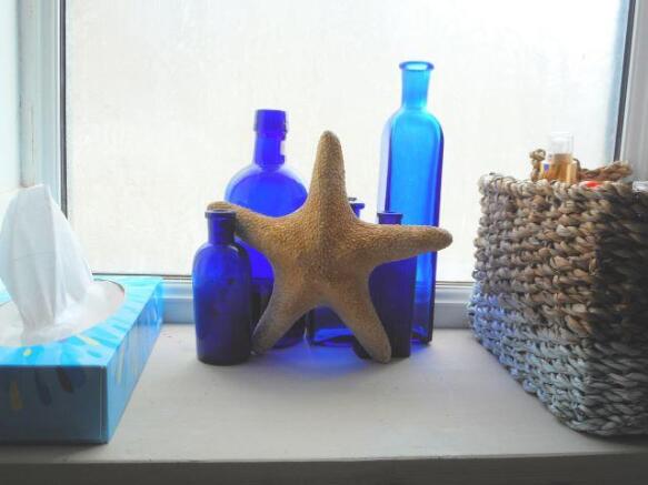 starfish