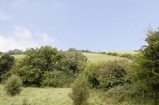 Views from Rear garden