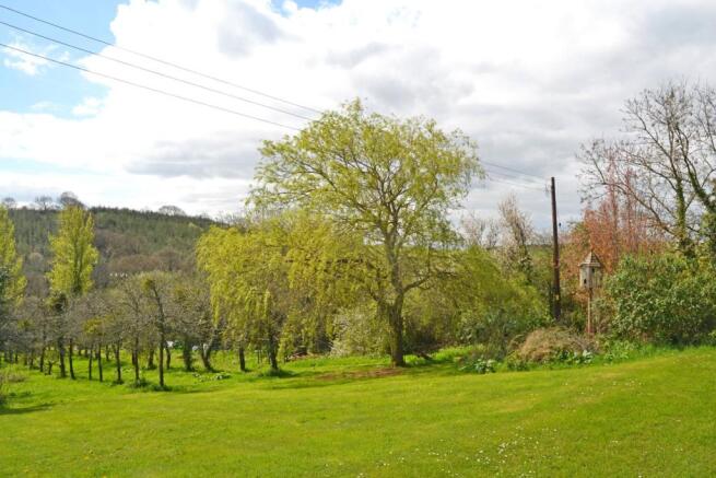 Orchard