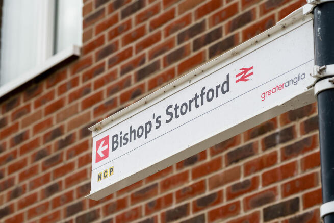 troy_bstort_011.JPG