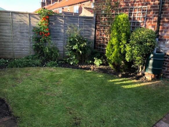 Garden.jpg