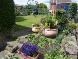 Photo 5