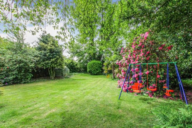 Lawn