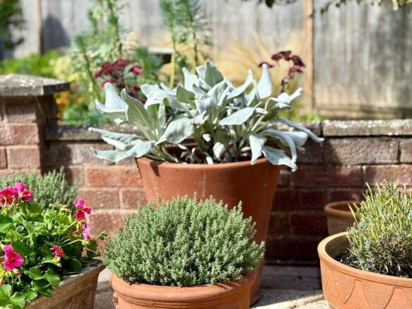 Pots and garden