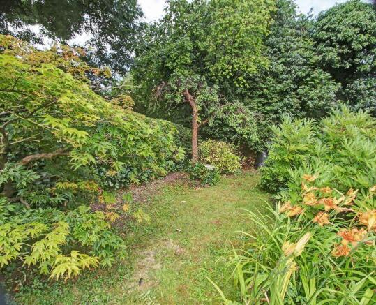 Back of garden