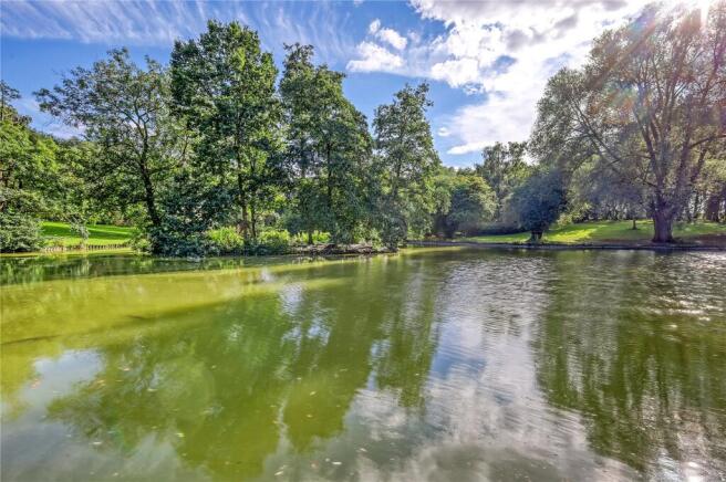 Pond