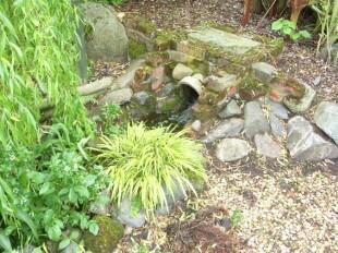 Rear Garden 5
