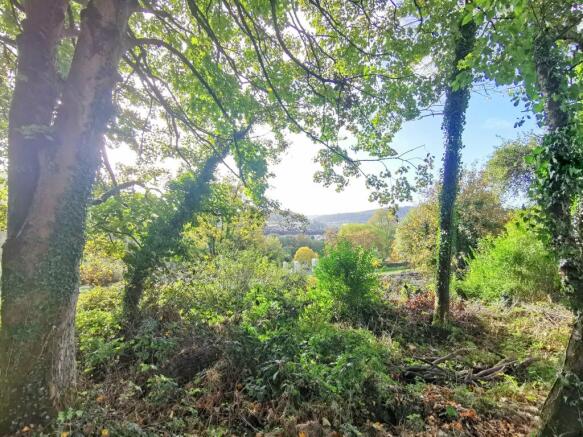 Front Garden Distant