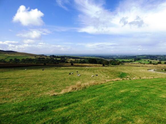 Panoramic Views