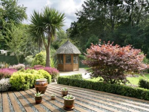 Lawn Area