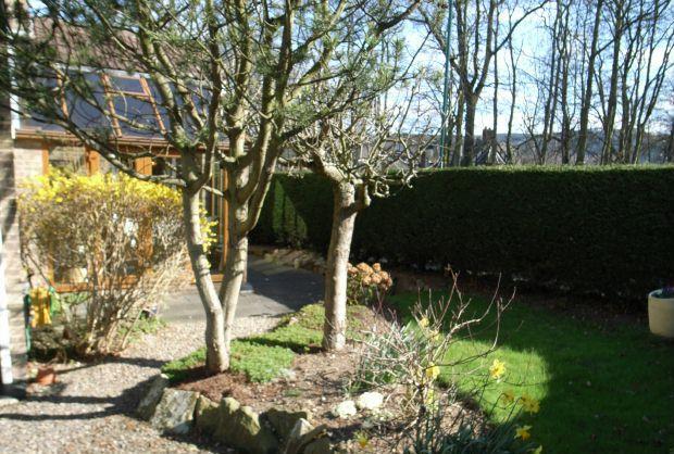 Gardens
