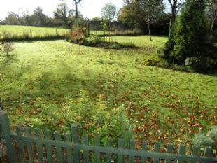 Back Garden