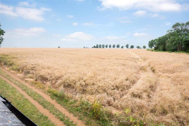 Views Over Fields