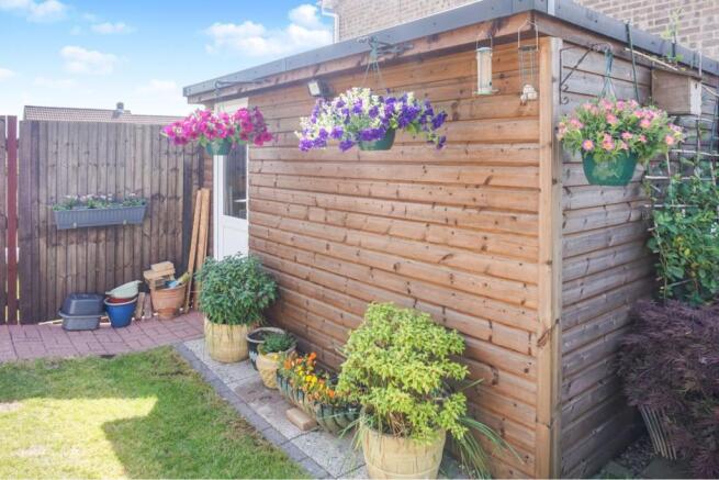 Shed