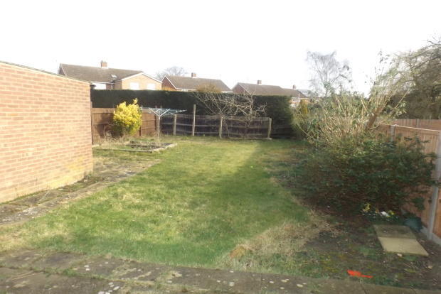 Back Garden