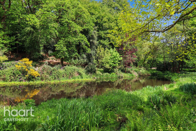 Whitmore Vale, Hindhead photo 4