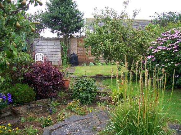 garden 1