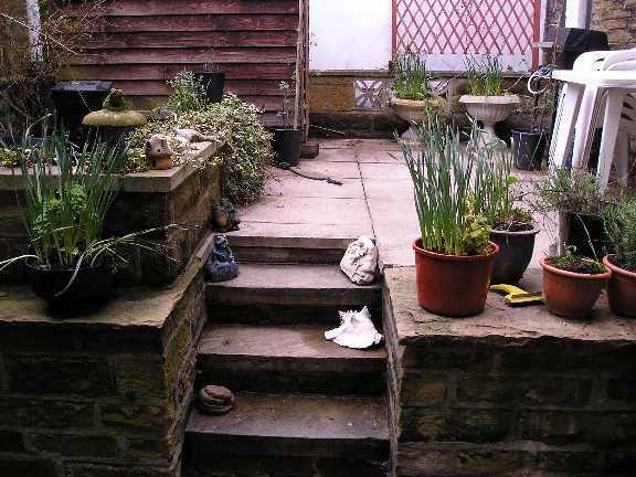 garden