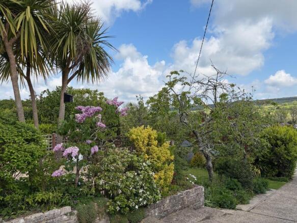 Front garden