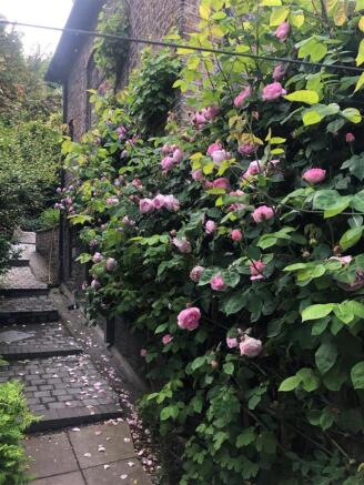 garden10.jpg