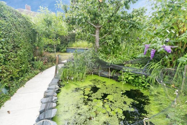 pbox-IMG.jpg