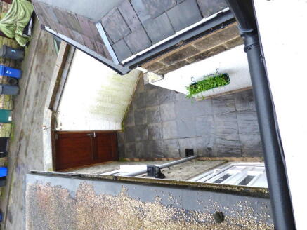 Rear Yard