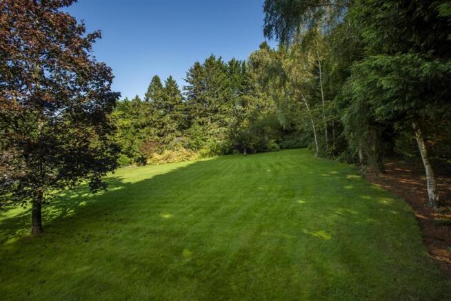 Lawn