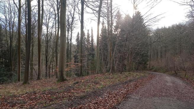 Beautiful wood & walks on your doorstep!