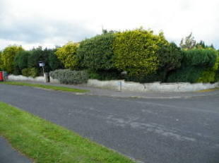Fully Hedge Enclosed