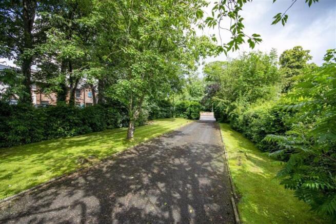 Front Garden/Driveway