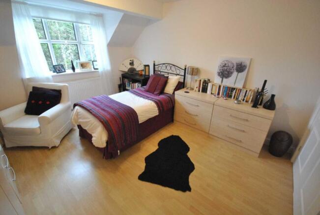 Photo 15