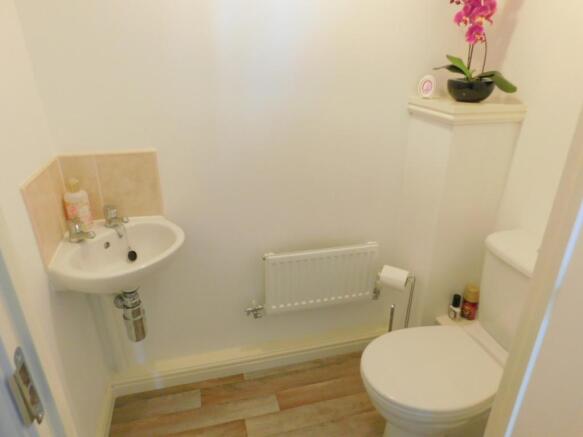 28 buttercup close (14)