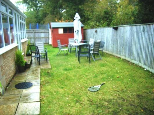 Photo 12