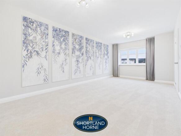 Representative Images From Plot 1