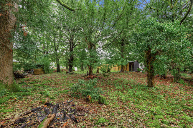 Woodland