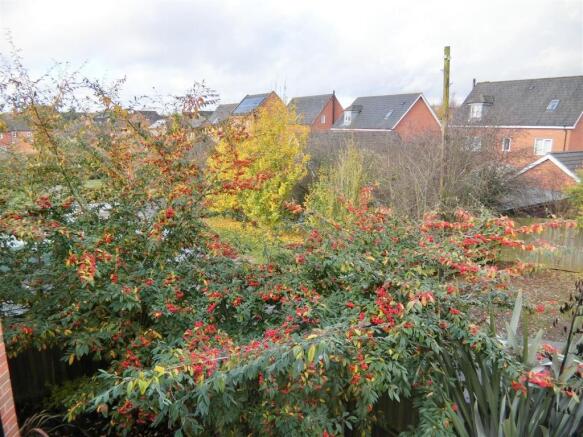 Side Garden