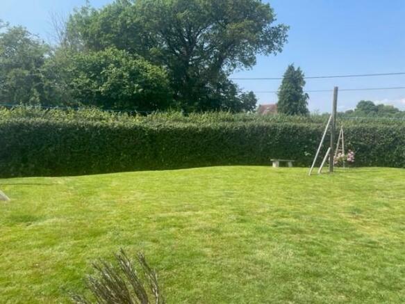 Garden 4.jpg