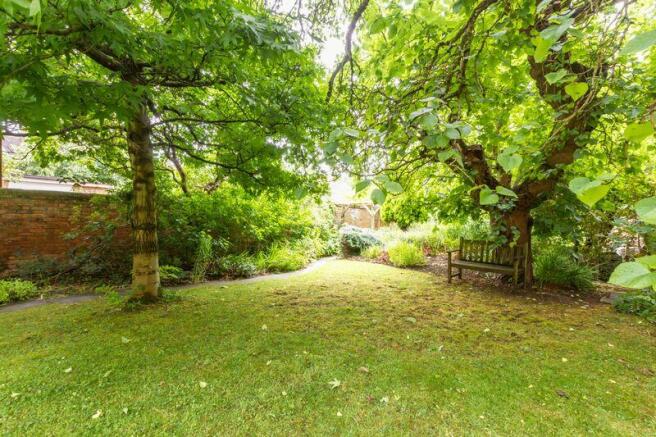 The garden