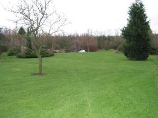 Grounds