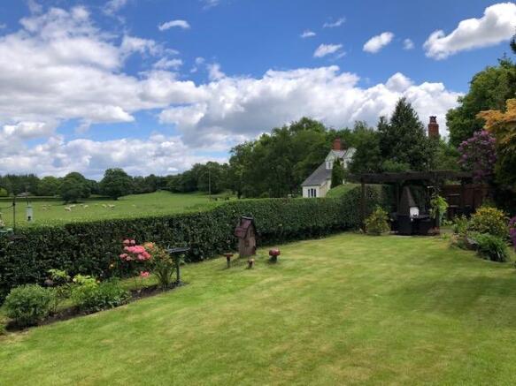 View from Patio