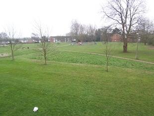 Communal Gardens and View