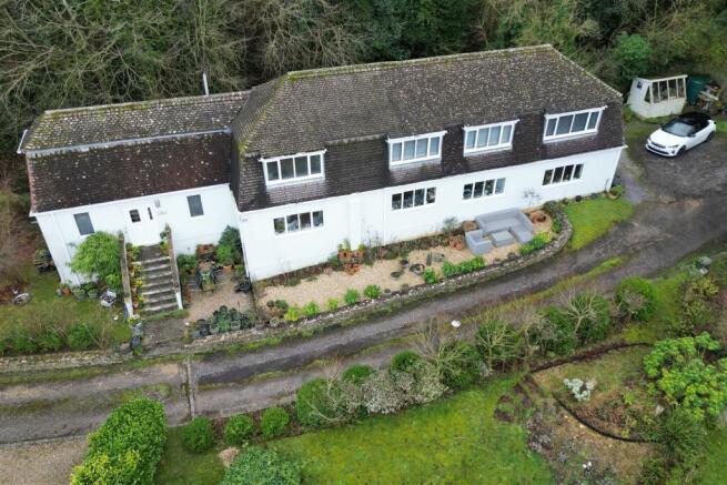 Hollis Morgan Auctions
