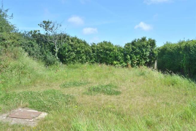 Rear garden.JPG