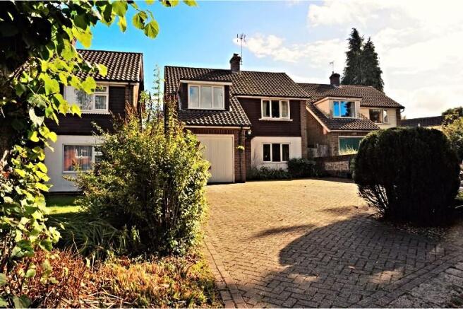 The Property