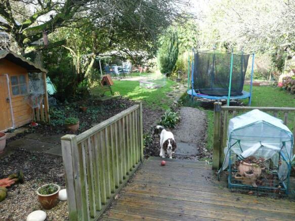 Photo 15